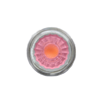LED Spot Fleisch GU 10, 230 V