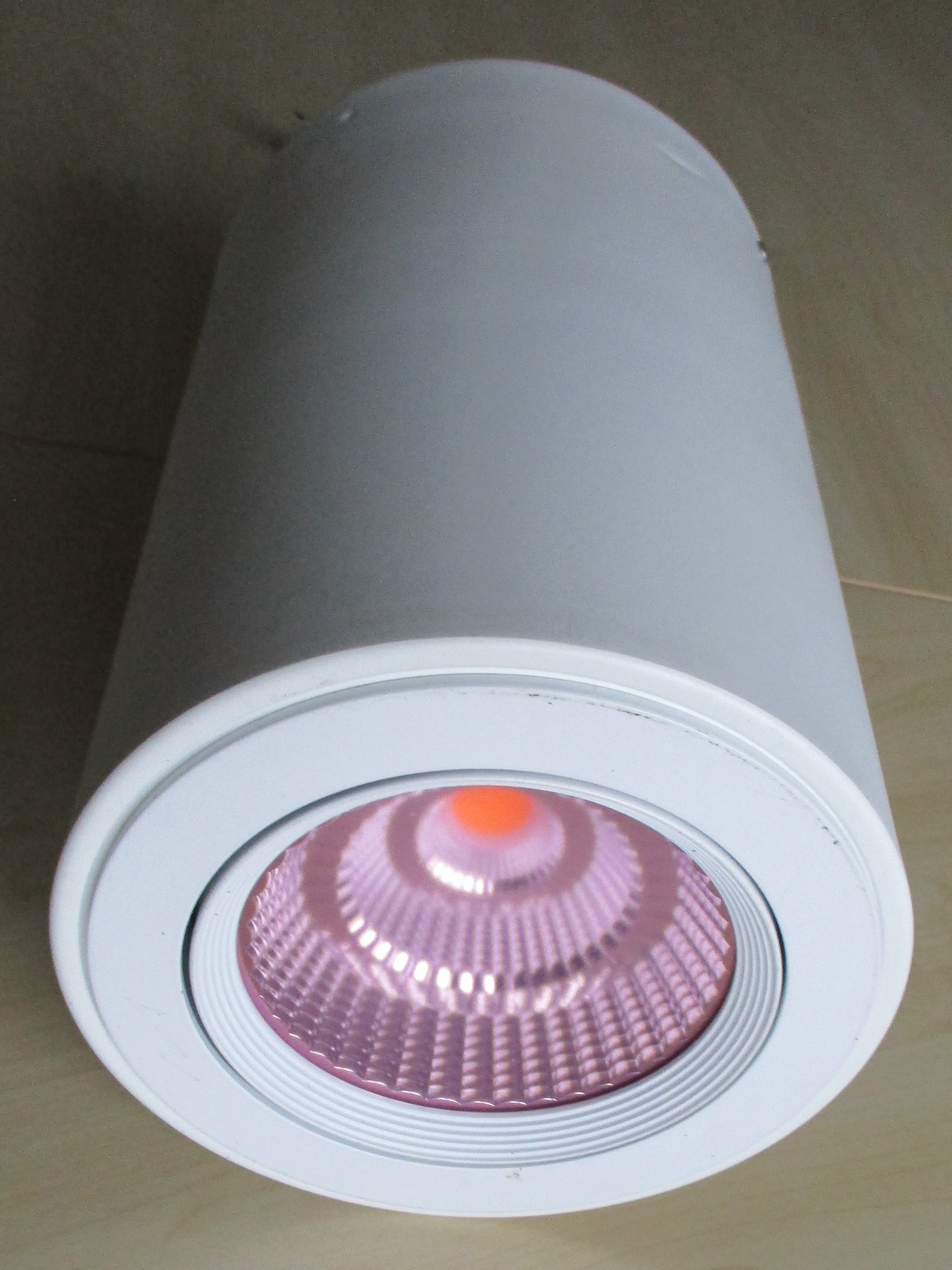 LED Aufbauzylinder Fleischlicht